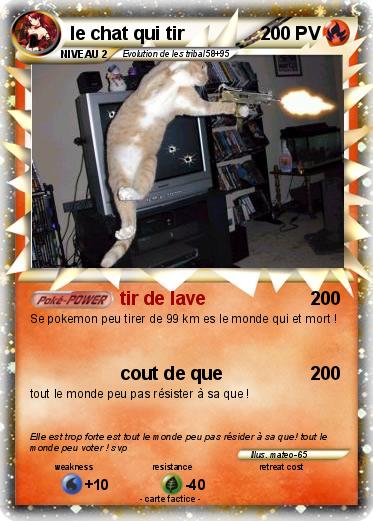 Pokemon le chat qui tir