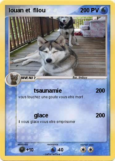 Pokemon louan et  filou