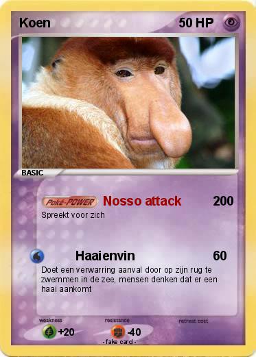 Pokemon Koen
