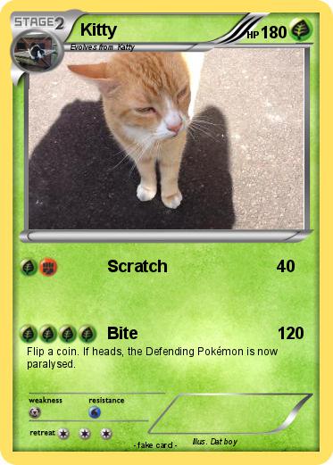 Pokemon Kitty