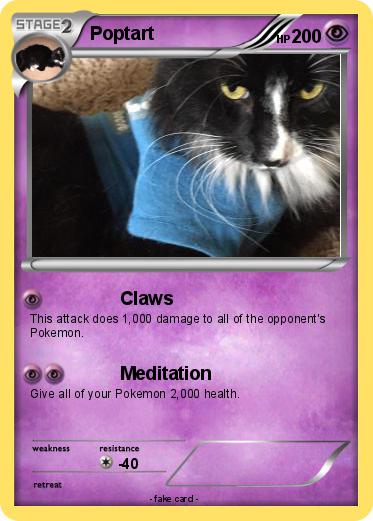 Pokemon Poptart
