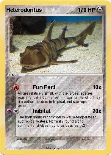 Pokemon Heterodontus