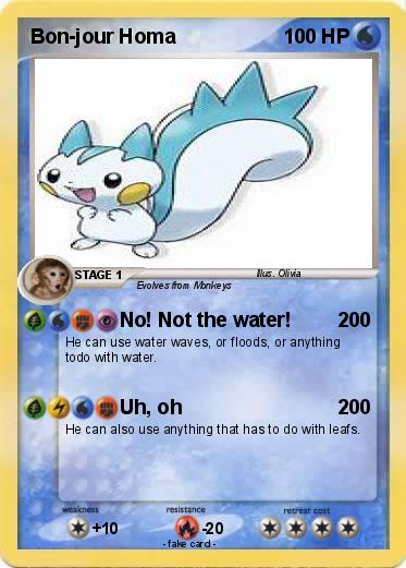 Pokemon Bon-jour Homa