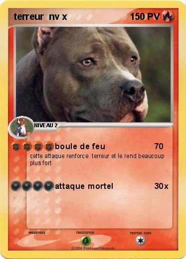Pokemon terreur  nv x