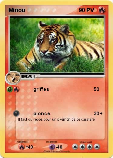 Pokemon Minou