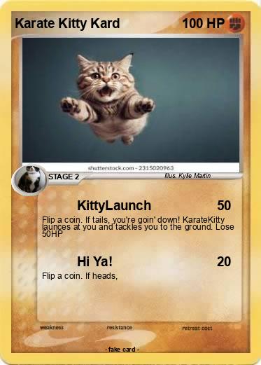 Pokemon Karate Kitty Kard
