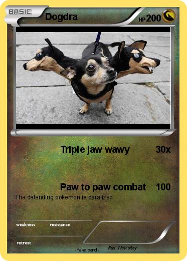Pokemon Dogdra