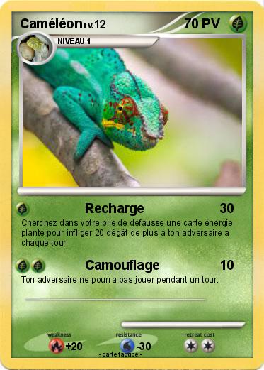 Pokemon Caméléon