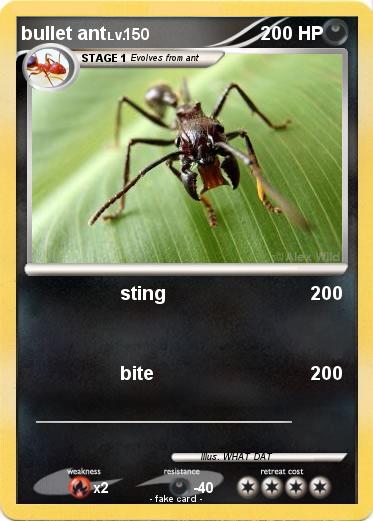 Pokemon bullet ant