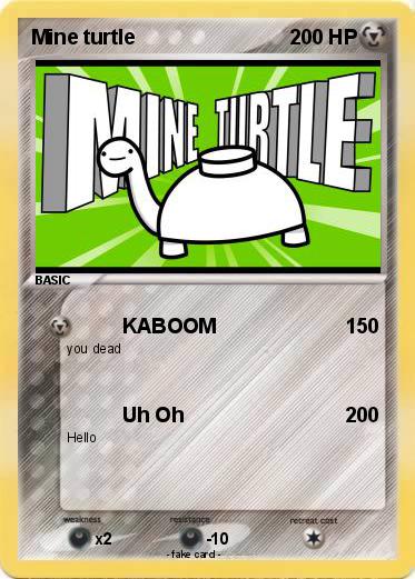 Pokemon Mine turtle