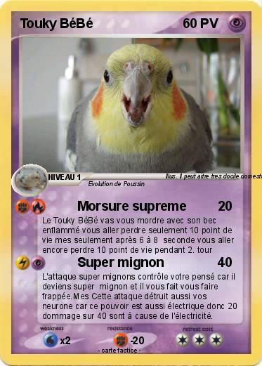 Pokemon Touky BéBé