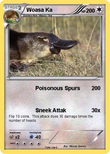 Pokemon Woasa Ka