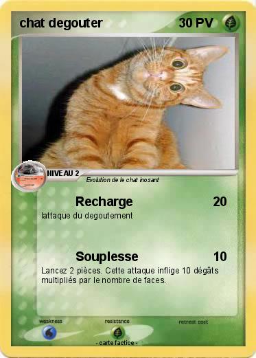 Pokemon chat degouter