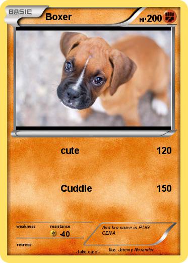 Pokemon Boxer