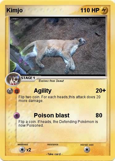 Pokemon Kimjo