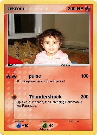 Pokemon zekrom