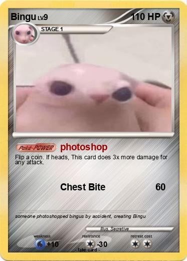 Pokemon Bingu
