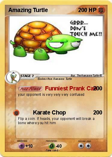 Pokemon Amazing Turtle