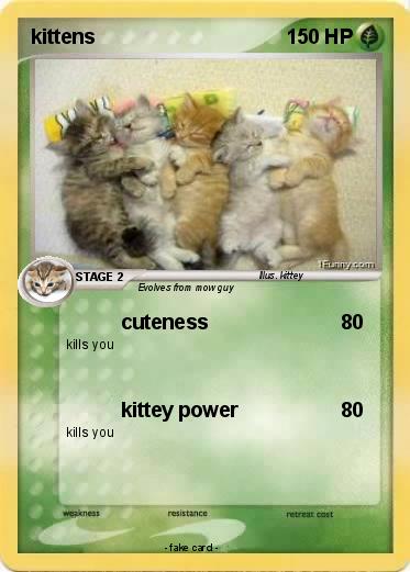 Pokemon kittens