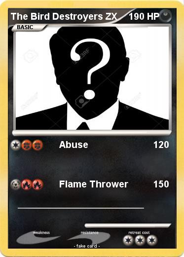 Pokemon The Bird Destroyers ZX