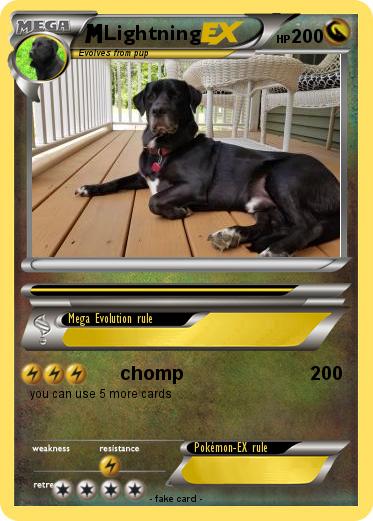 Pokemon Lightning