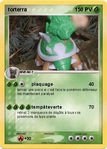 Pokemon torterra