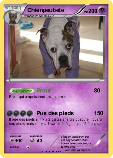Pokemon Chienpeubete