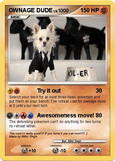 Pokemon OWNAGE DUDE
