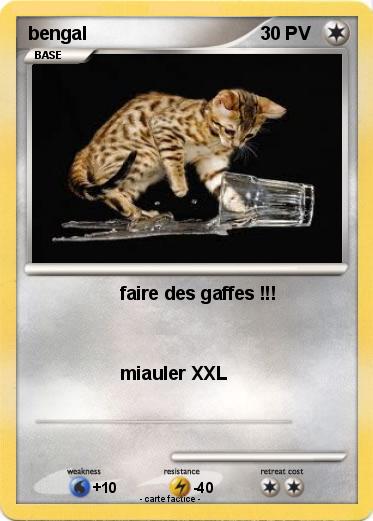Pokemon bengal