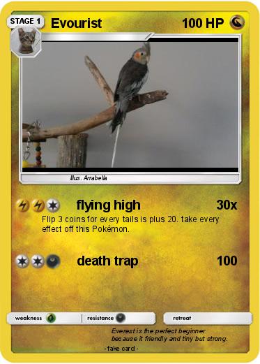 Pokemon Evourist