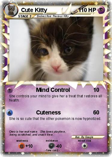 Pokemon Cute Kitty
