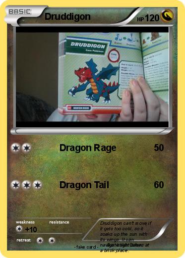Pokemon Druddigon