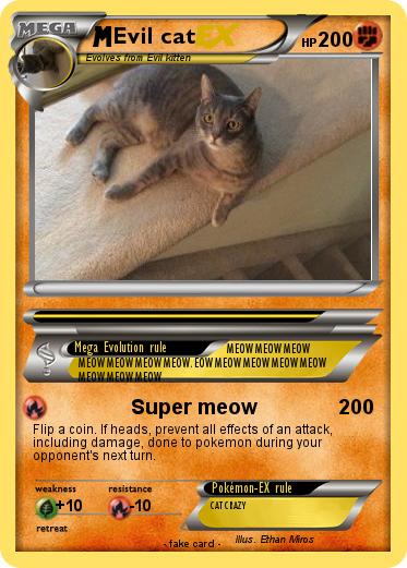 Pokemon Evil cat