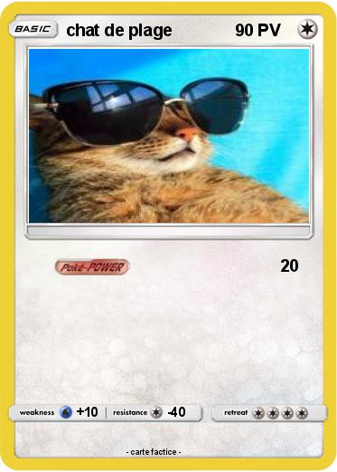 Pokemon chat de plage