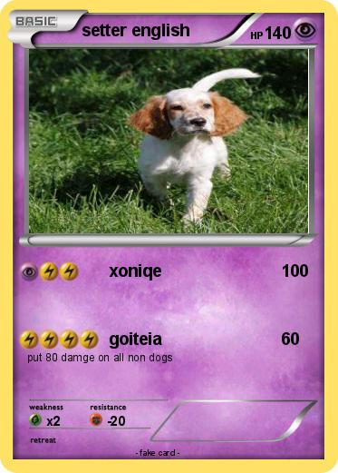 Pokemon setter english