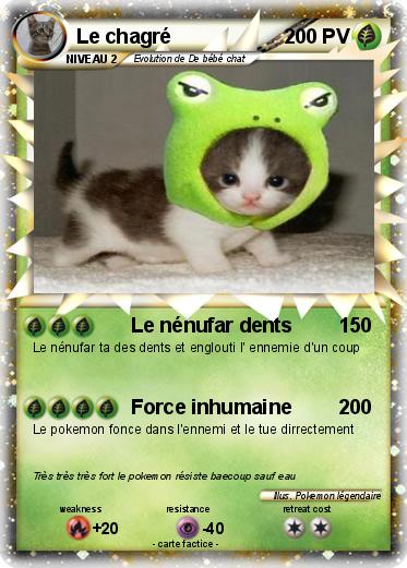 Pokemon Le chagré
