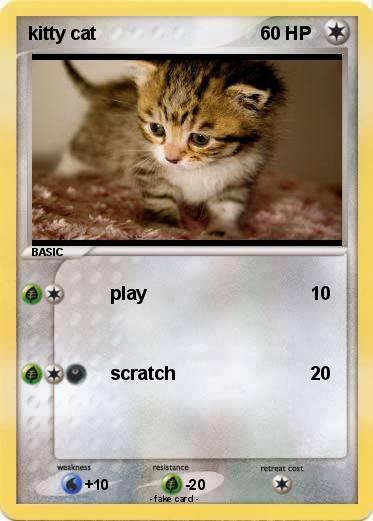 Pokemon kitty cat