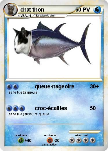 Pokemon chat thon