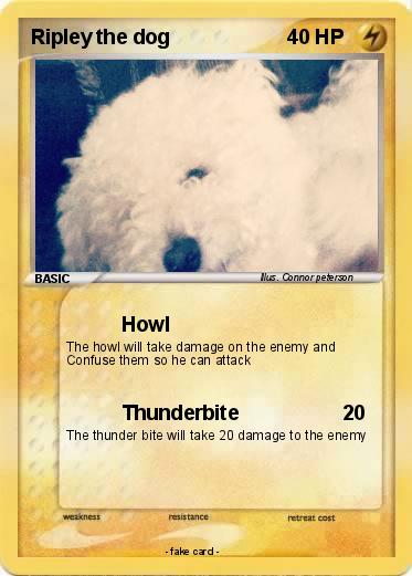 Pokemon Ripley the dog