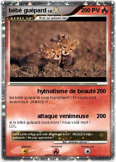 Pokemon bébé guépard