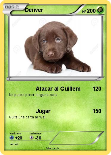 Pokemon Denver
