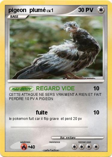 Pokemon pigeon  plumé