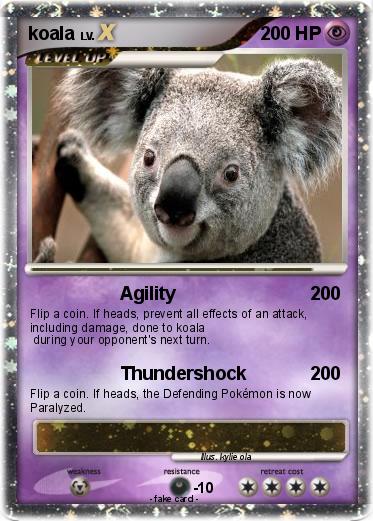 Pokemon koala