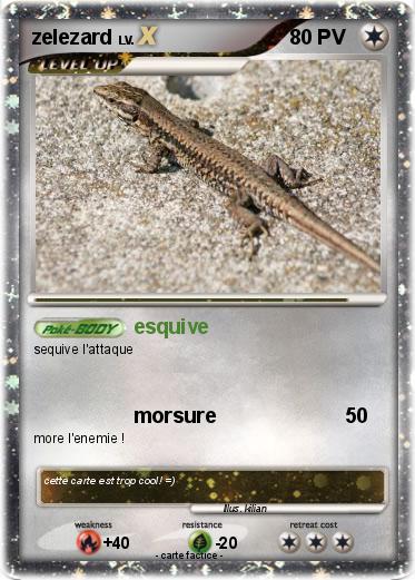 Pokemon zelezard