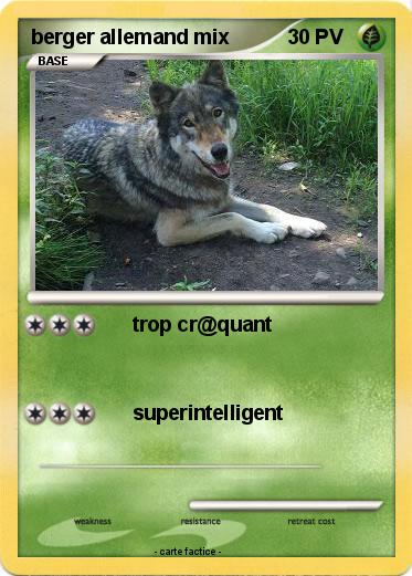 Pokemon berger allemand mix