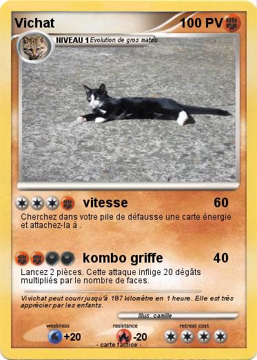 Pokemon Vichat