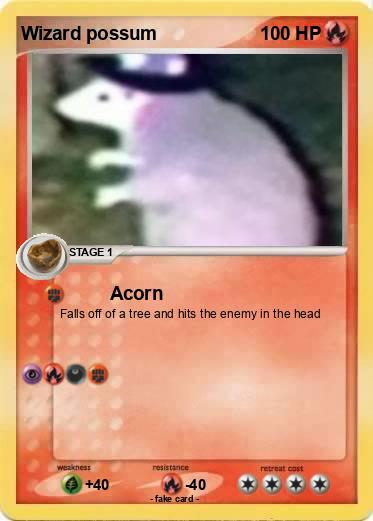 Pokemon Wizard possum