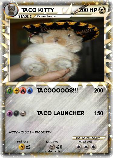 Pokemon TACO KITTY