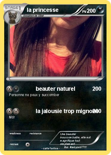 Pokemon la princesse
