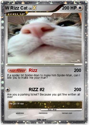 Pokemon W Rizz Cat
